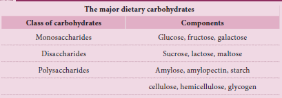 3 classification of starch/carbohydrates