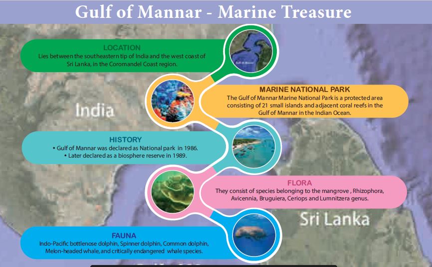 Environment and Ecology - gulf of mannar biosphere