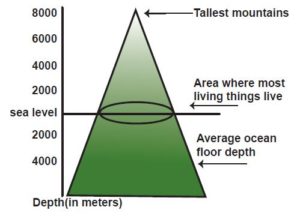 Environment and Ecology - Verticle range of biosphere on earth