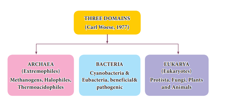 Three Domain classification