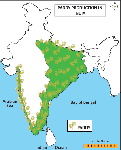 major rice producing states in india