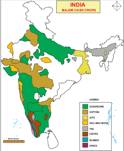 cash crops in india map - commercial crops in india upsc