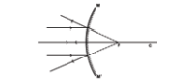 The light is parallel to the principal axis or optic axis and mirror is convex