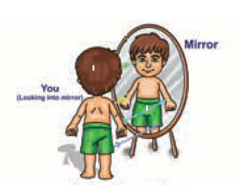 Lateral Inversion of Mirror, where the position of the image is inversion to the observer