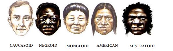 major-human-races-of-the-world-and-their-characteristics-upsc-andedge