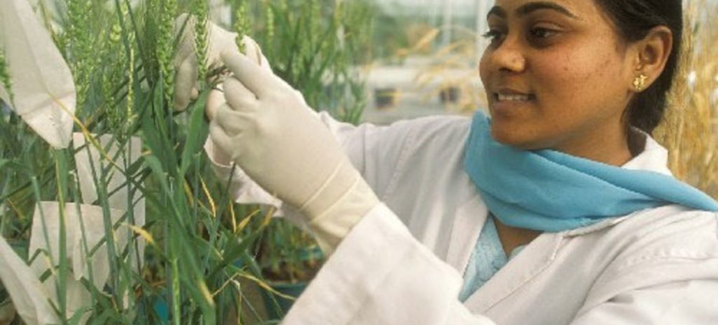 Genetic engineering in agriculture in India Upsc - Andedge