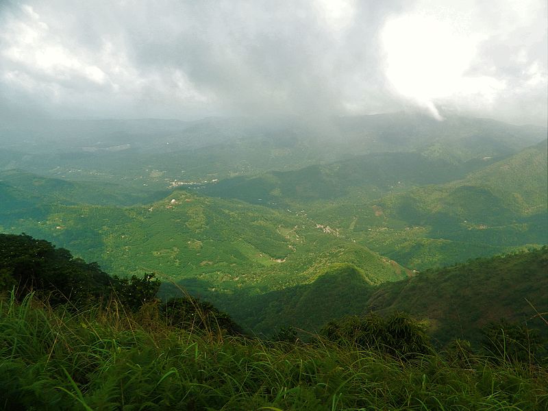 Cardamom Hills in the western ghats
