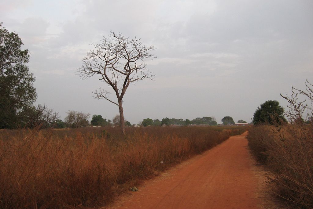 Laterite soils in tamil nadu