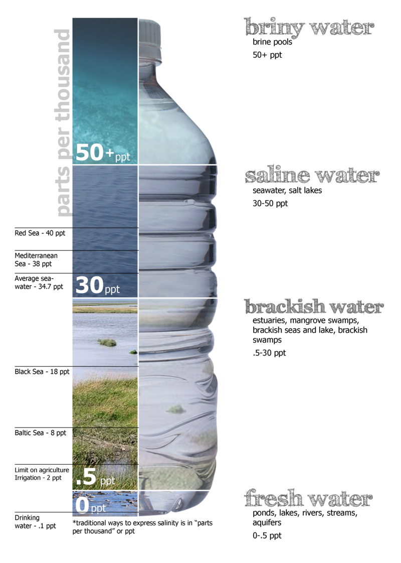 salinity of different water, such as fresh water, sea water