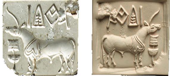 unicorn seal of harappan civilization