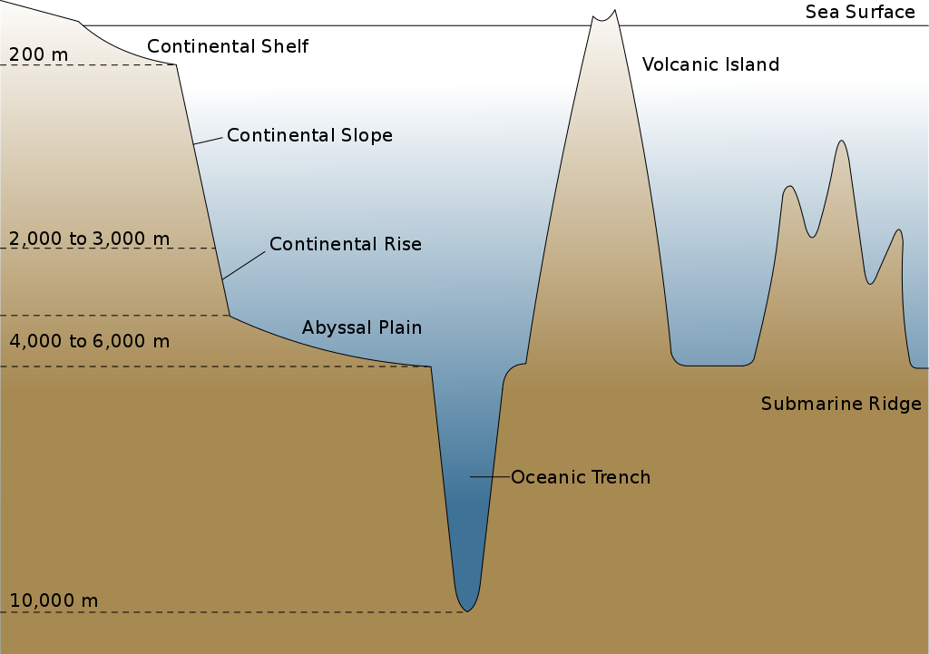 Ocean relief features and its major divisions Upsc Andedge