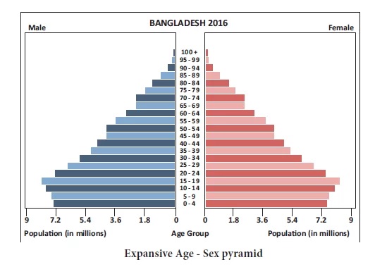 Expansive Age-Sex Pyramid - Bangladesh