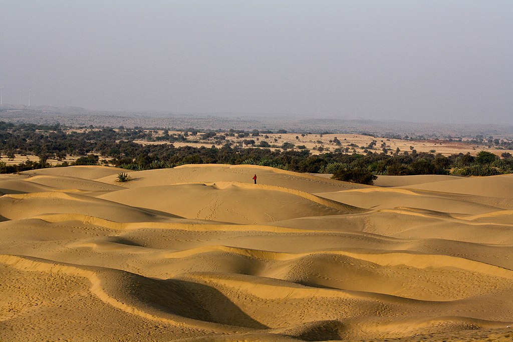 Arid and desert soils 