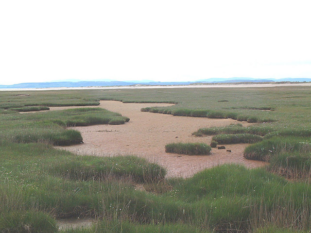 Peaty and marshy soils