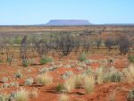 Australian Savanna Food Web