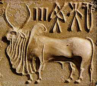 bull seal of harappan civilization