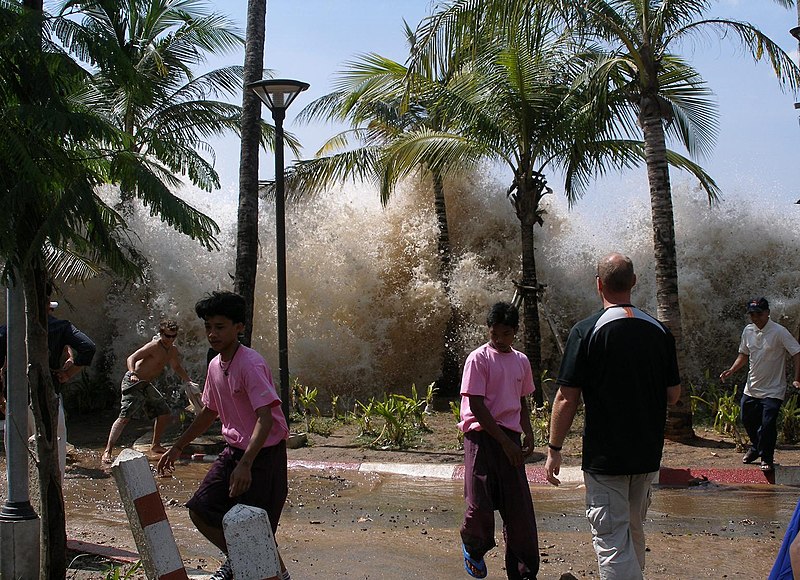 Tsunami or Seismic Wave