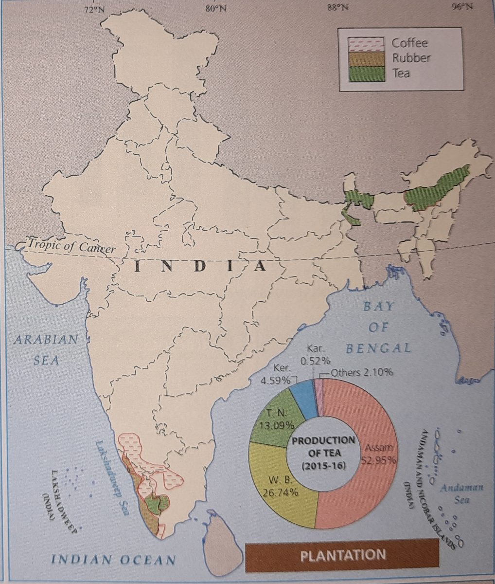 major rubber producing states in india map