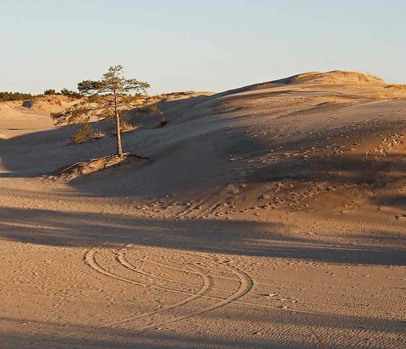 coastal dunes formed by deposition of sea waves at the Yyteri Beach in Pori Finland