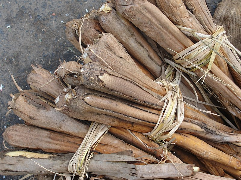 Palmyra sprout season in Tamil Nadu is from January to March. 