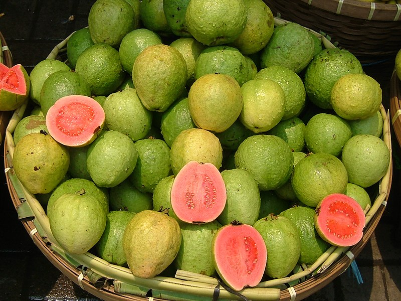 guava season in Tamil Nadu is from April to May and October to November