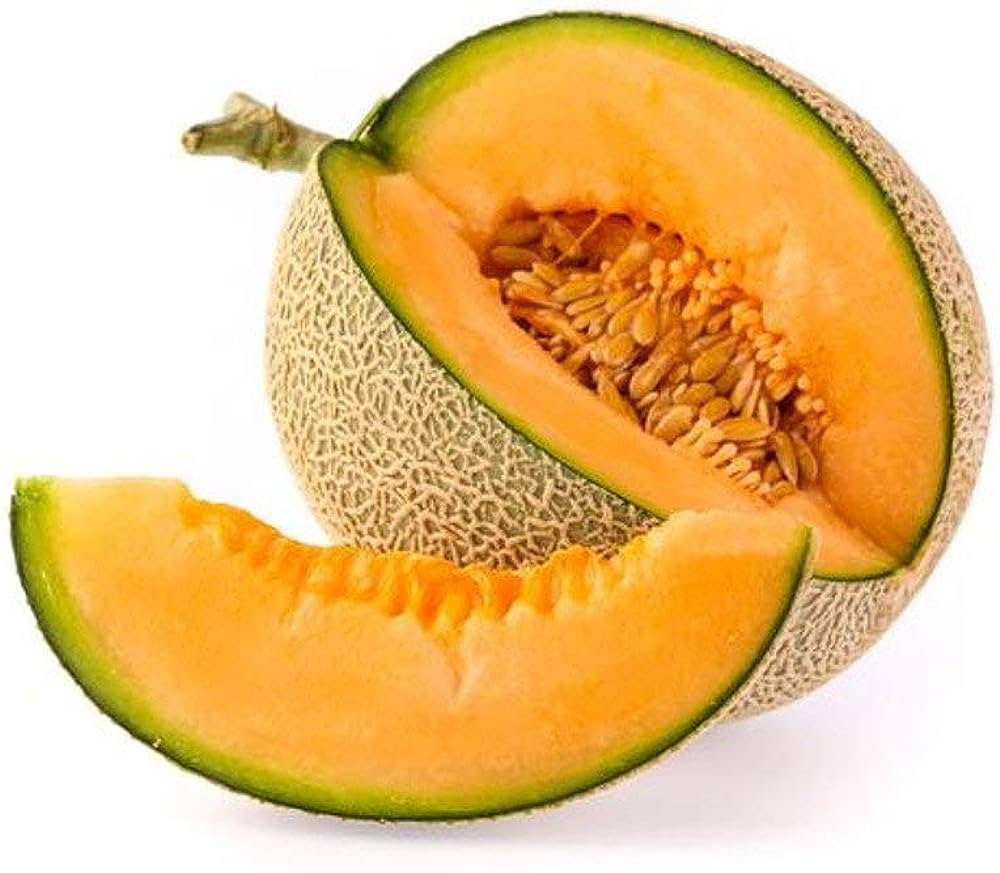 Musk melon is a seasonal fruit in tamil nadu harvester in summer season