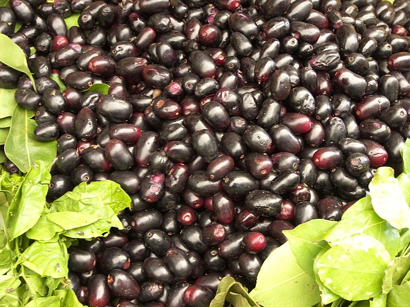 Jamun season in Tamil Nadu is from June to September.

